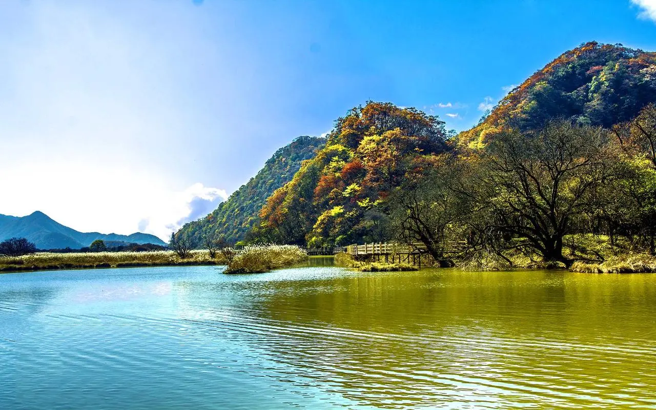 高效智慧城市先进